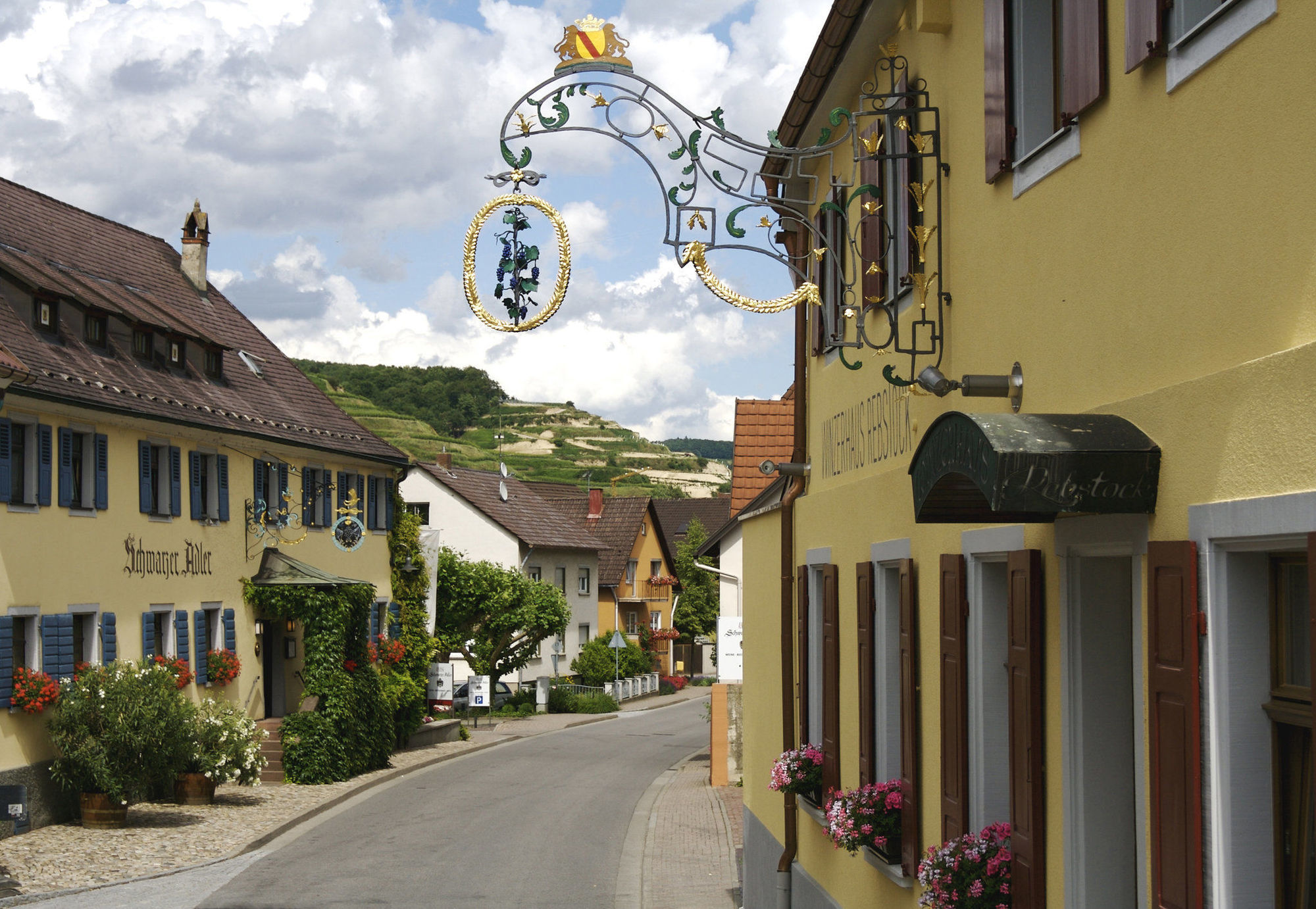 Schwarzer Adler Hotel Vogtsburg Kültér fotó