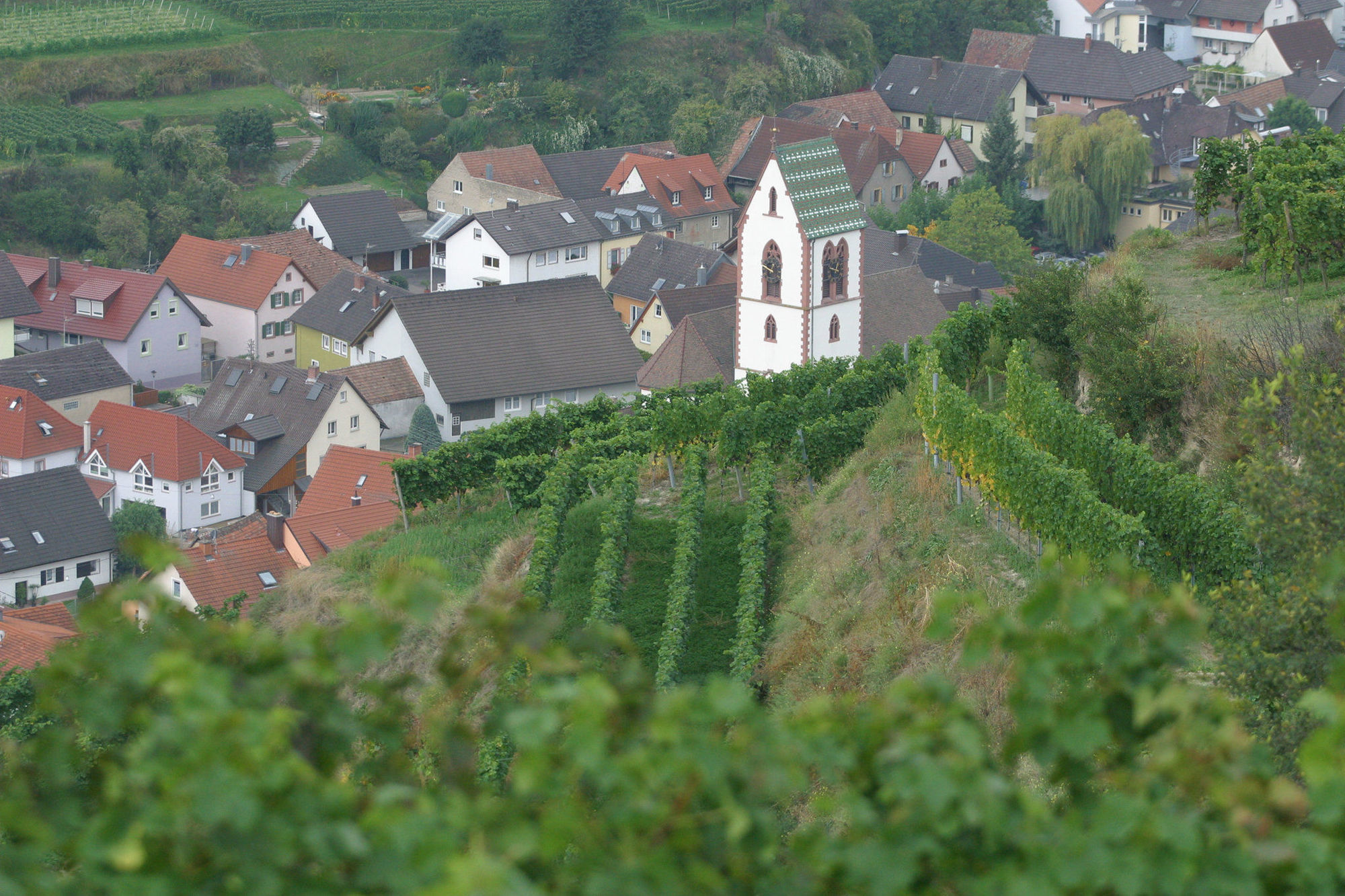 Schwarzer Adler Hotel Vogtsburg Kültér fotó
